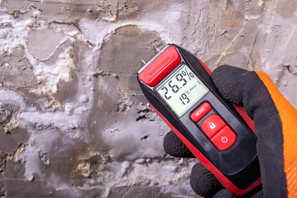 Mold Removal and Inspection in Severance, CO