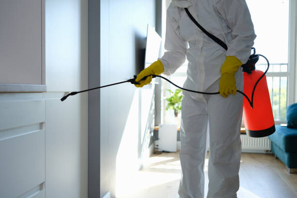 Best Local Mold Removal Service  in Severance, CO